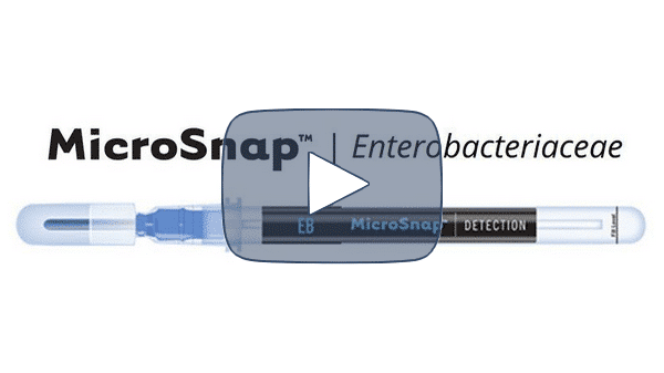 logo microsnap entero